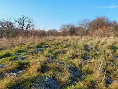 Prodej pozemku pro bydlení, Dřetovice, 1424 m2