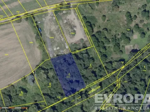 Prodej lesa, Praha, 2166 m2