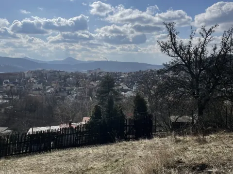Prodej pozemku pro bydlení, Ústí nad Labem - Ústí nad Labem-centrum, V Lukách, 1156 m2
