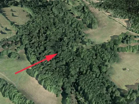 Prodej lesa, Trutnov, 13585 m2