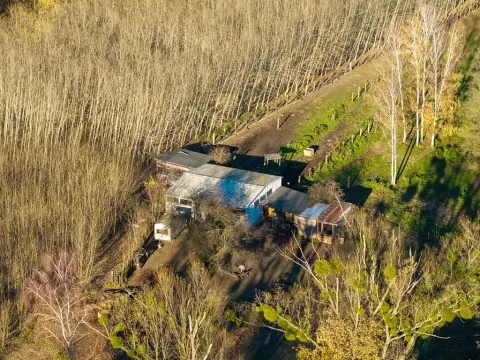 Pronájem - jiné, Markvartovice, 111 m2