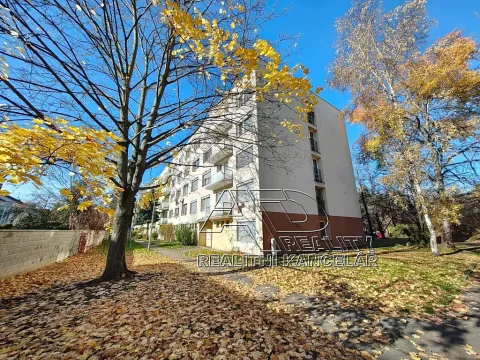 Prodej bytu 3+1, České Budějovice, Nádražní, 80 m2