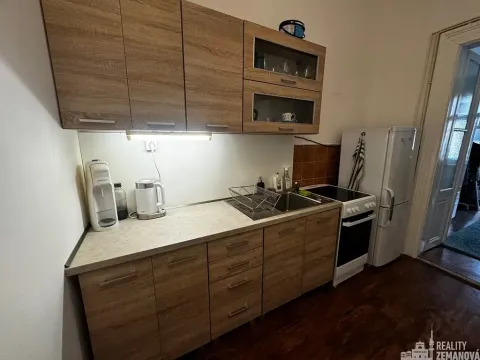 Pronájem bytu 1+1, Praha - Vinohrady, Řipská, 47 m2