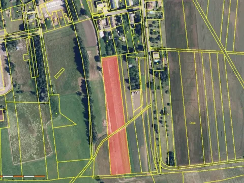 Prodej pole, Bohuslavice, 7441 m2