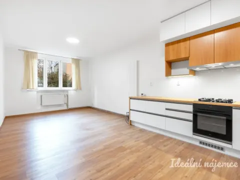 Pronájem bytu 2+kk, Praha, Na Jezerce, 52 m2