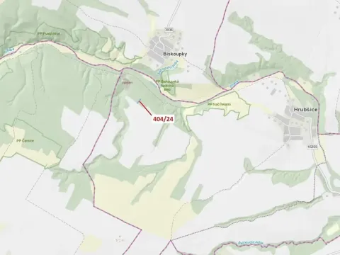 Dražba lesa, Ivančice, 741 m2