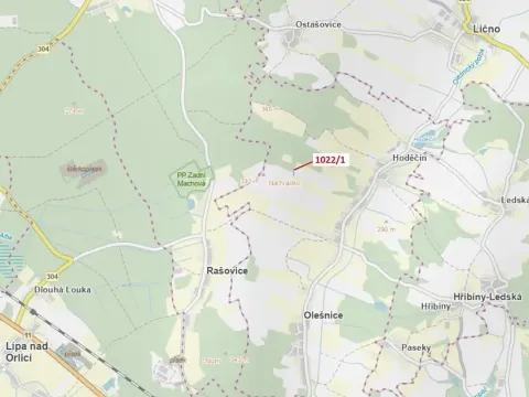 Dražba pole, Olešnice, 318 m2