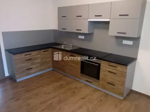 Pronájem bytu 2+kk, Ústí nad Labem - Ústí nad Labem-centrum, Elišky Krásnohorské, 65 m2