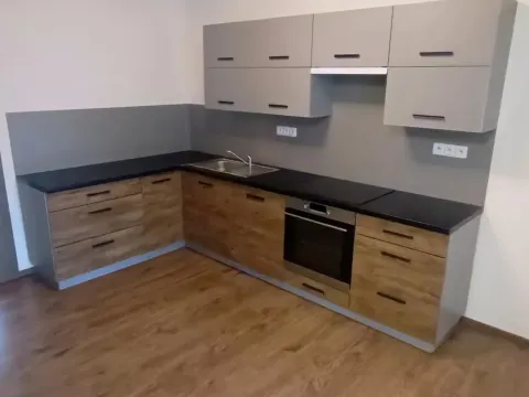 Pronájem bytu 2+kk, Ústí nad Labem - Ústí nad Labem-centrum, Elišky Krásnohorské, 65 m2