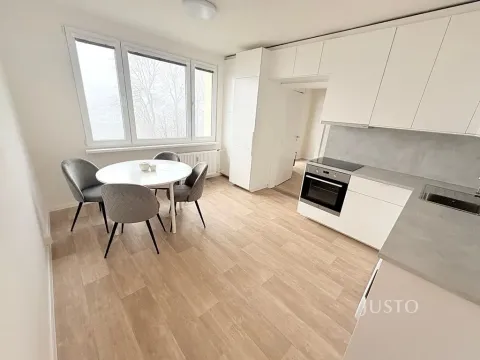 Pronájem bytu 1+1, Písek, nábřeží 1. máje, 36 m2