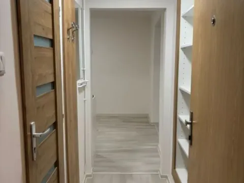 Pronájem bytu 1+1, Ostrava, Gurťjevova, 36 m2