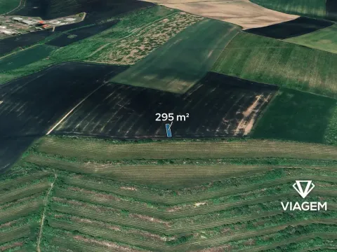 Prodej pole, Morkůvky, 295 m2