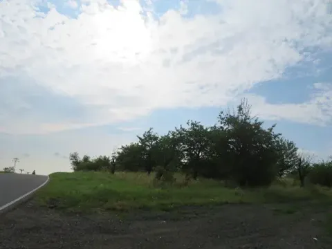 Dražba zahrady, Ploskovice, 23378 m2