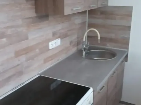 Pronájem bytu 1+kk, Most, K. H. Borovského, 20 m2