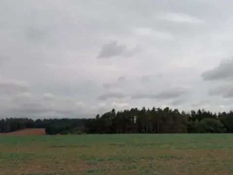 Dražba lesa, Blížejov, 7793 m2