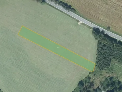 Prodej louky, Nové Dvory, 4111 m2