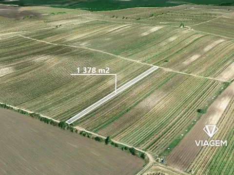 Prodej podílu pole, Rakvice, 689 m2