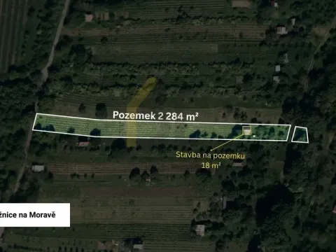 Prodej sadu/vinice, Strážnice, 2284 m2