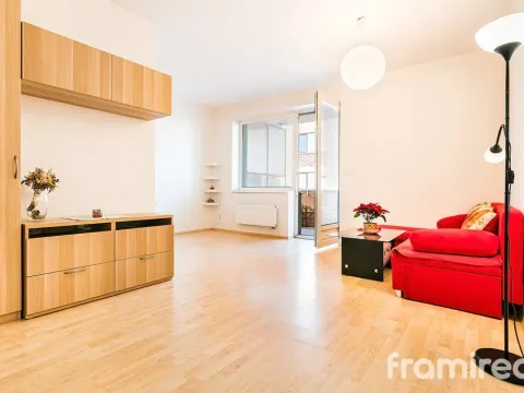 Pronájem bytu 1+kk, Brno, U Leskavy, 36 m2