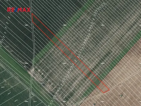 Prodej pole, Josefov, 4449 m2