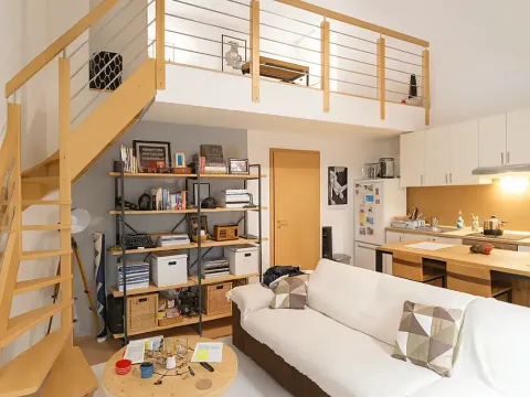 Pronájem bytu 1+kk, Brno, Botanická, 50 m2