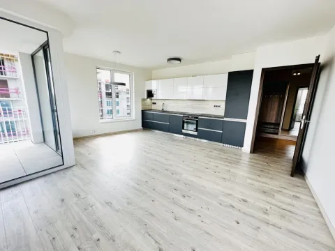 Pronájem bytu 2+kk, Ostrava - Moravská Ostrava, F. X. Riepla, 60 m2