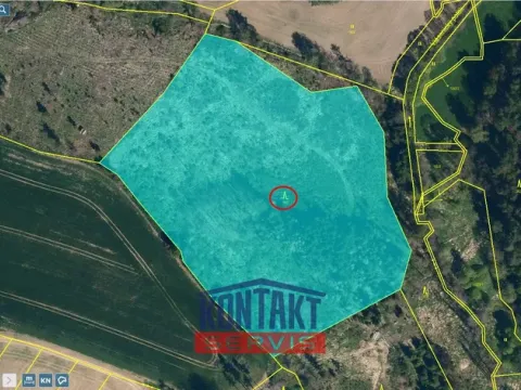 Prodej lesa, Vokov, 19055 m2