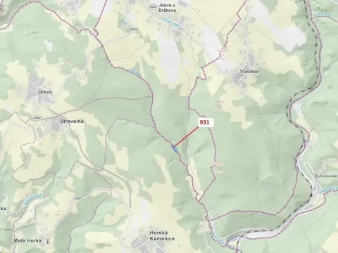 Dražba louky, Jílové u Držkova, 4019 m2