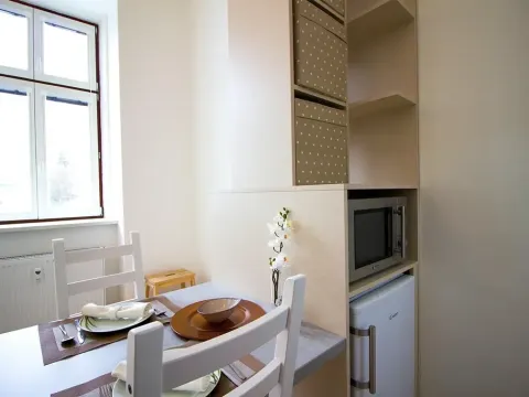 Pronájem bytu 1+kk, Brno, Koliště, 26 m2