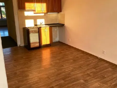 Pronájem bytu 2+kk, Praha - Vysočany, Freyova, 65 m2