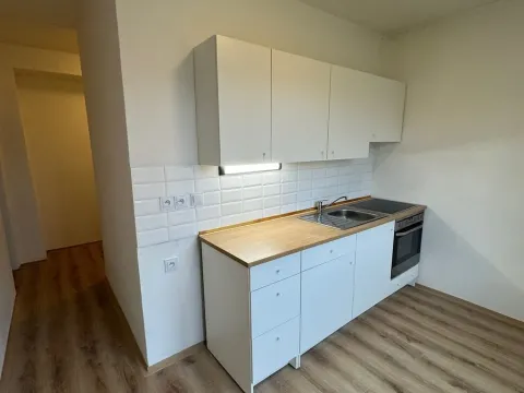 Pronájem bytu 2+1, Jirkov, J. K. Tyla, 51 m2