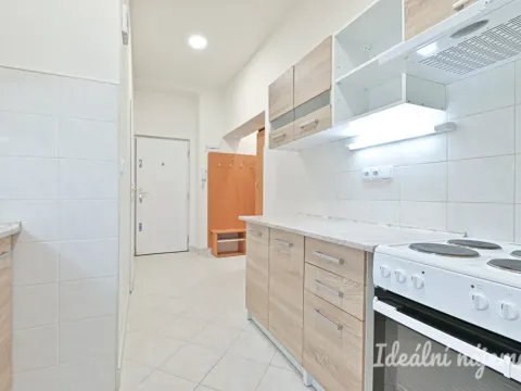 Pronájem bytu 1+1, Brno, Antonínská, 38 m2