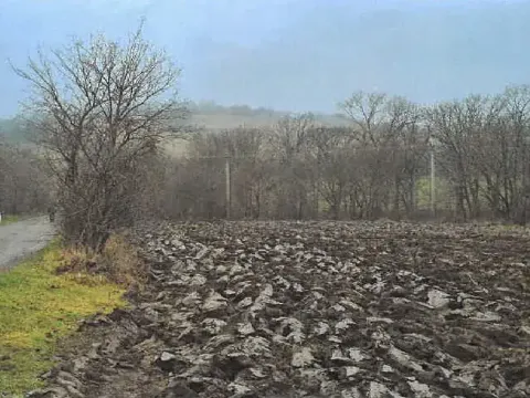 Dražba komerčního pozemku, Radějov, 3231 m2