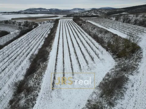 Prodej pozemku, Sedlec, 6224 m2