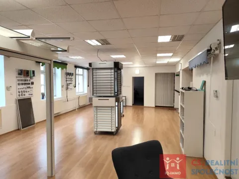Prodej obchodního prostoru, Znojmo, Velká Michalská, 326 m2