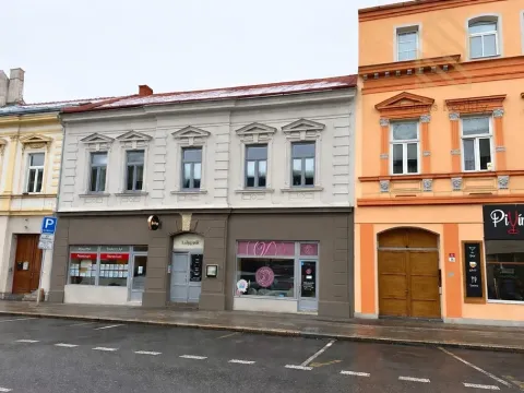 Prodej obchodního prostoru, Lovosice, 8.května, 39 m2