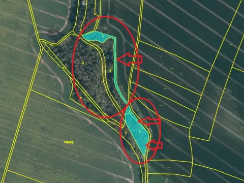 Prodej lesa, Mělnické Vtelno, 2736 m2