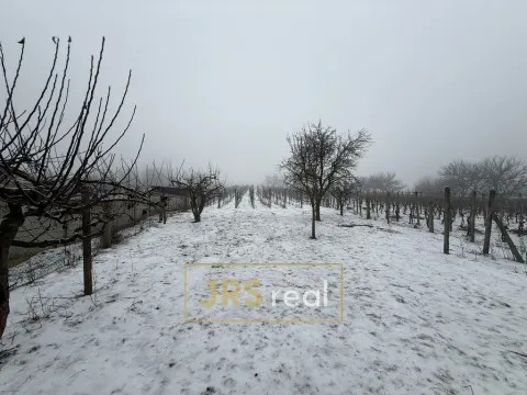 Prodej pozemku, Valtice - Úvaly, 1266 m2