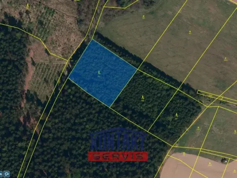 Prodej lesa, Otín, 4352 m2