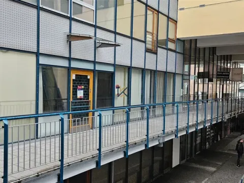 Pronájem obchodního prostoru, Praha - Vinohrady, Chrudimská, 257 m2