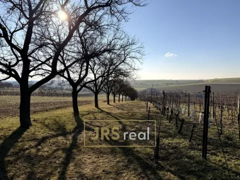 Prodej pozemku, Svatobořice-Mistřín, 3501 m2