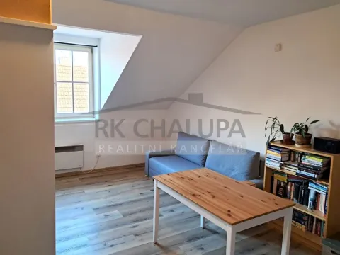 Pronájem bytu 1+kk, České Budějovice - České Budějovice 3, J. Š. Baara, 33 m2