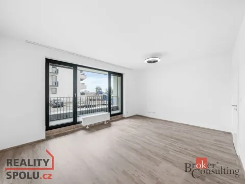 Pronájem bytu 1+kk, Plzeň - Jižní Předměstí, Železná, 43 m2