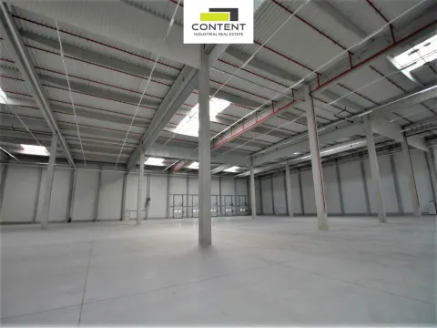 Pronájem výrobních prostor, Plzeň - Skvrňany, Ke Karlovu, 3000 m2