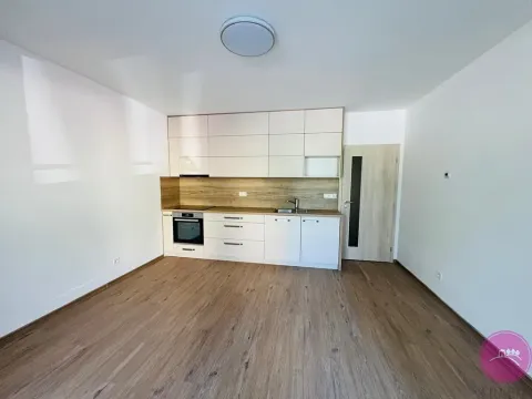 Pronájem bytu 1+kk, Olomouc, Topolová, 32 m2