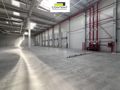 Pronájem výrobních prostor, Údlice, Droužkovická, 25754 m2