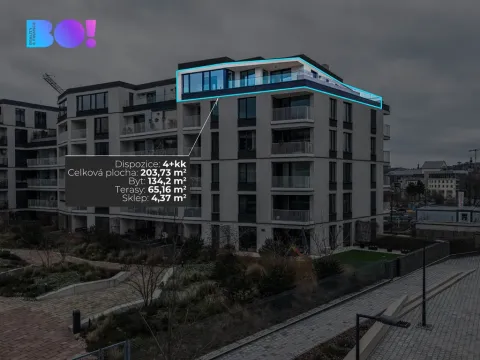 Pronájem kanceláře, Ostrava, F. X. Riepla, 203 m2