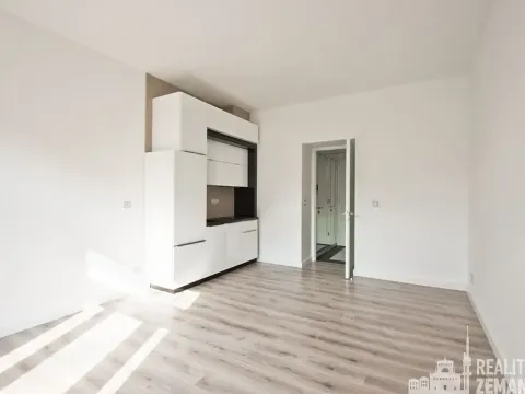 Pronájem bytu 1+kk, Praha - Žižkov, Bořivojova, 31 m2