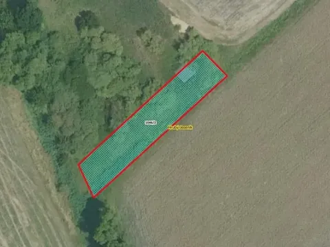 Prodej louky, Hrubý Jeseník, 519 m2