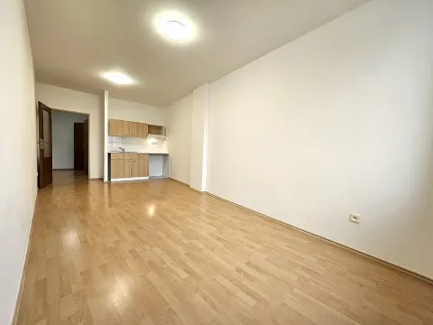 Pronájem bytu 1+kk, Brno, Svitavské nábřeží, 28 m2